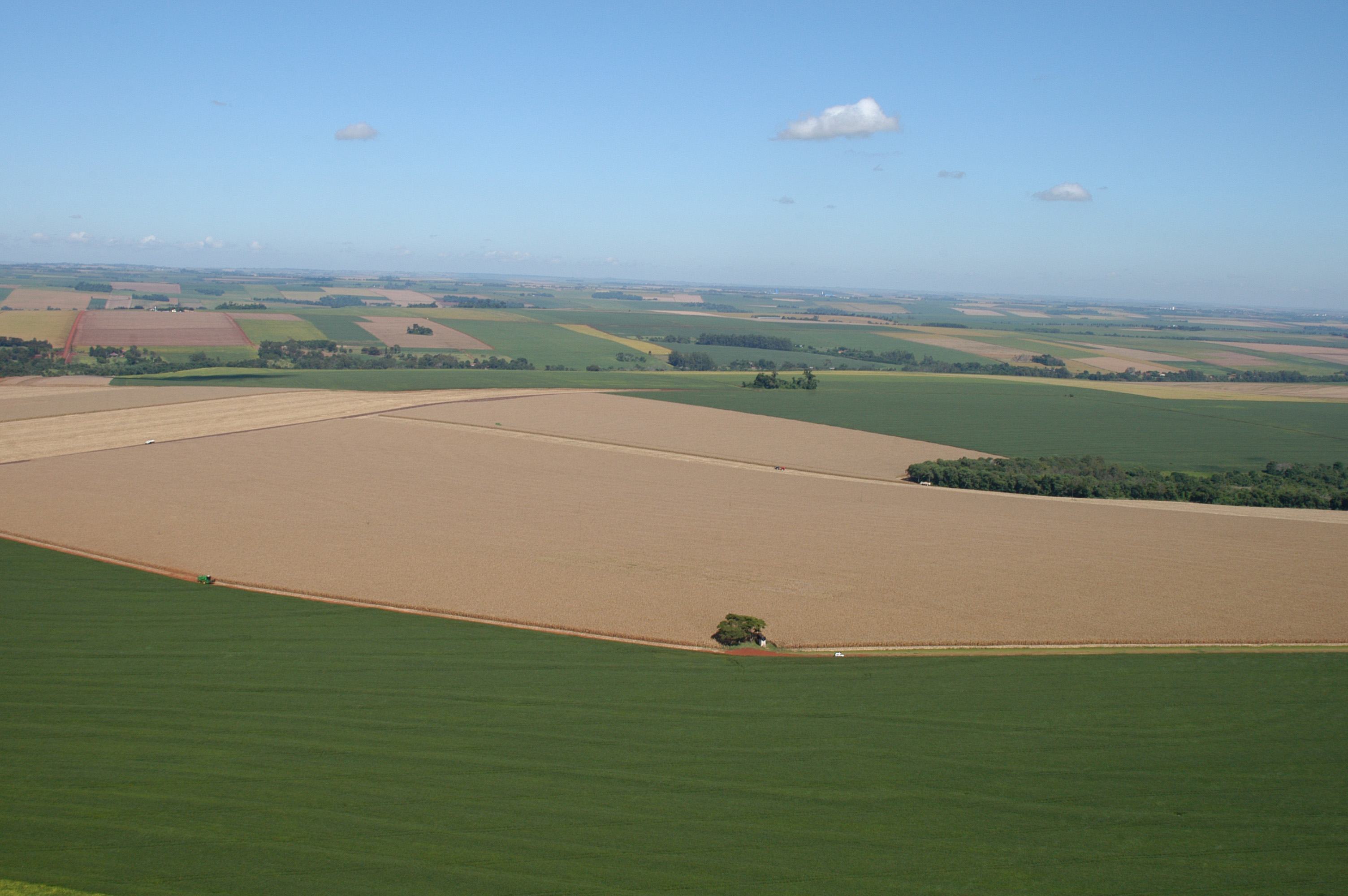 C.Vale alcan&ccedil;a recorde hist&oacute;rico de produ&ccedil;&atilde;o