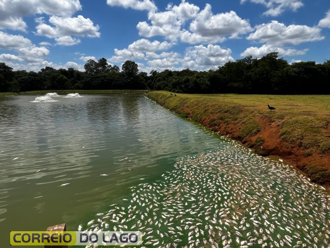 Produtor do interior de Santa Helena perde metade da produ&ccedil;&atilde;o de til&aacute;pias por falha no fornecimento de energia el&eacute;trica da Copel