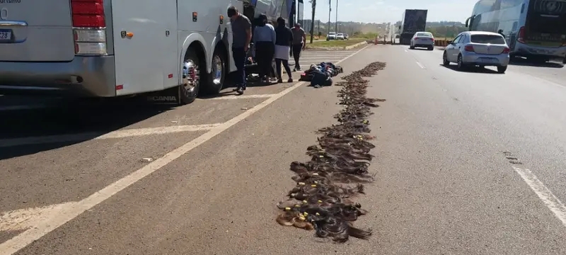 PRF apreende malas com cabelos e medicamento em &ocirc;nibus na BR-277