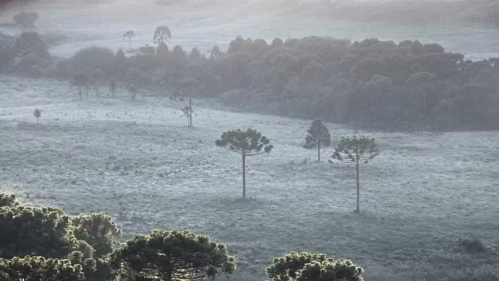 Geada e baixas temperaturas formam 'dia de inverno' em pleno ver&atilde;o na Serra de SC