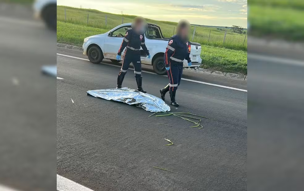 Mulher atropelada em rodovia &eacute; declarada morta pelo Samu, deixada na pista e reanimada minutos depois por socorrista