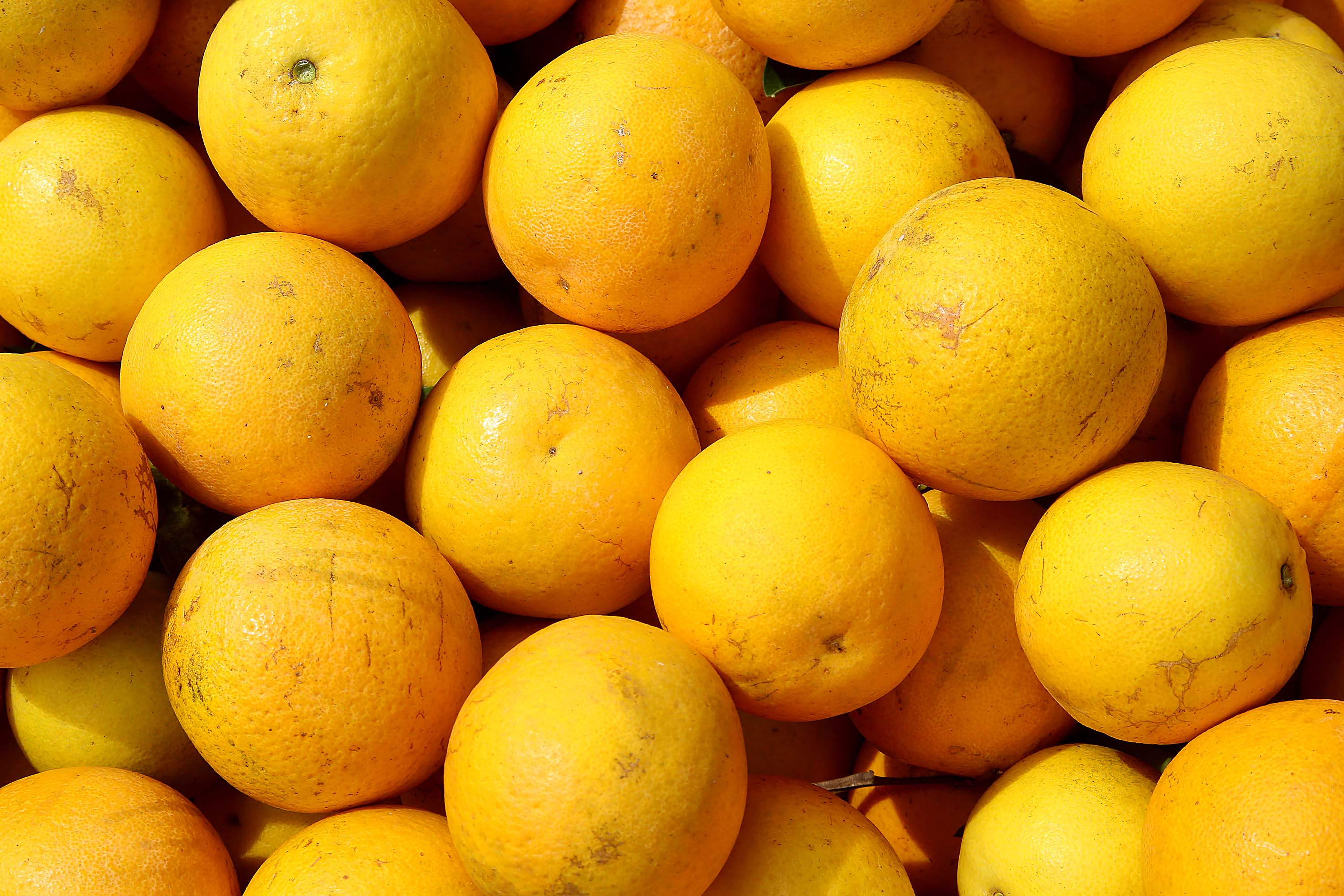 Hortigranjeiros do Paran&aacute; est&atilde;o com pre&ccedil;os mais acess&iacute;veis ao consumidor no come&ccedil;o de 2026