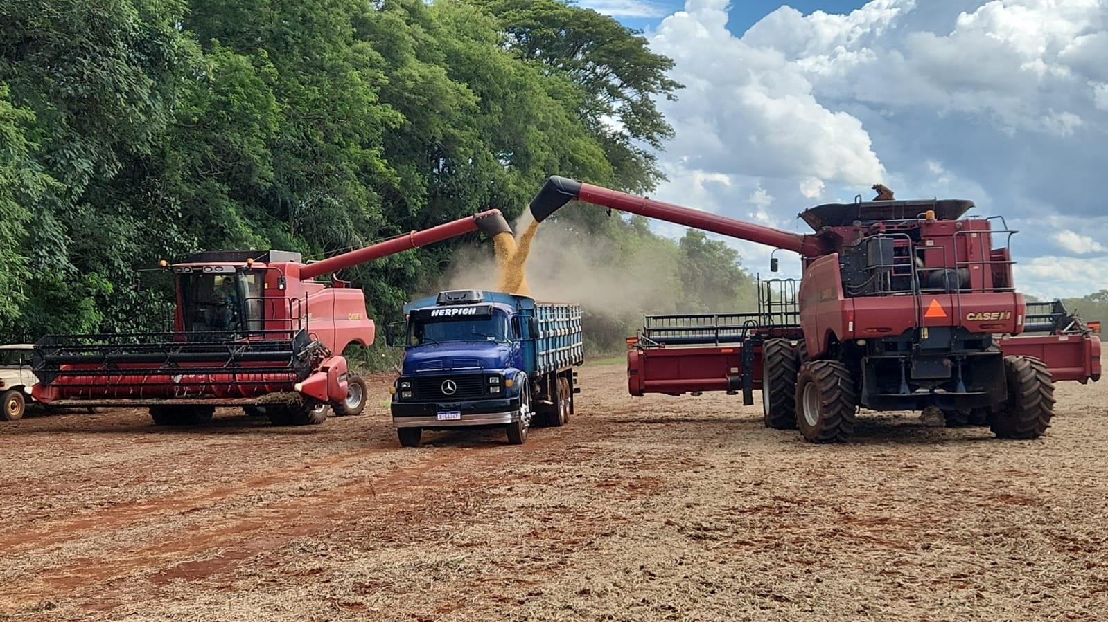 Copagril recebe primeira soja da safra 2025/2026 em dezembro e marca in&iacute;cio antecipado da colheita no Oeste do Paran&aacute;