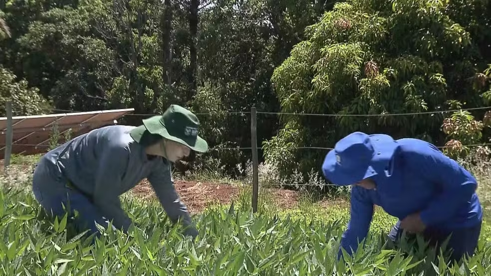 Paran&aacute; &eacute; o segundo estado com mais diagn&oacute;sticos de c&acirc;ncer de pele no Brasil