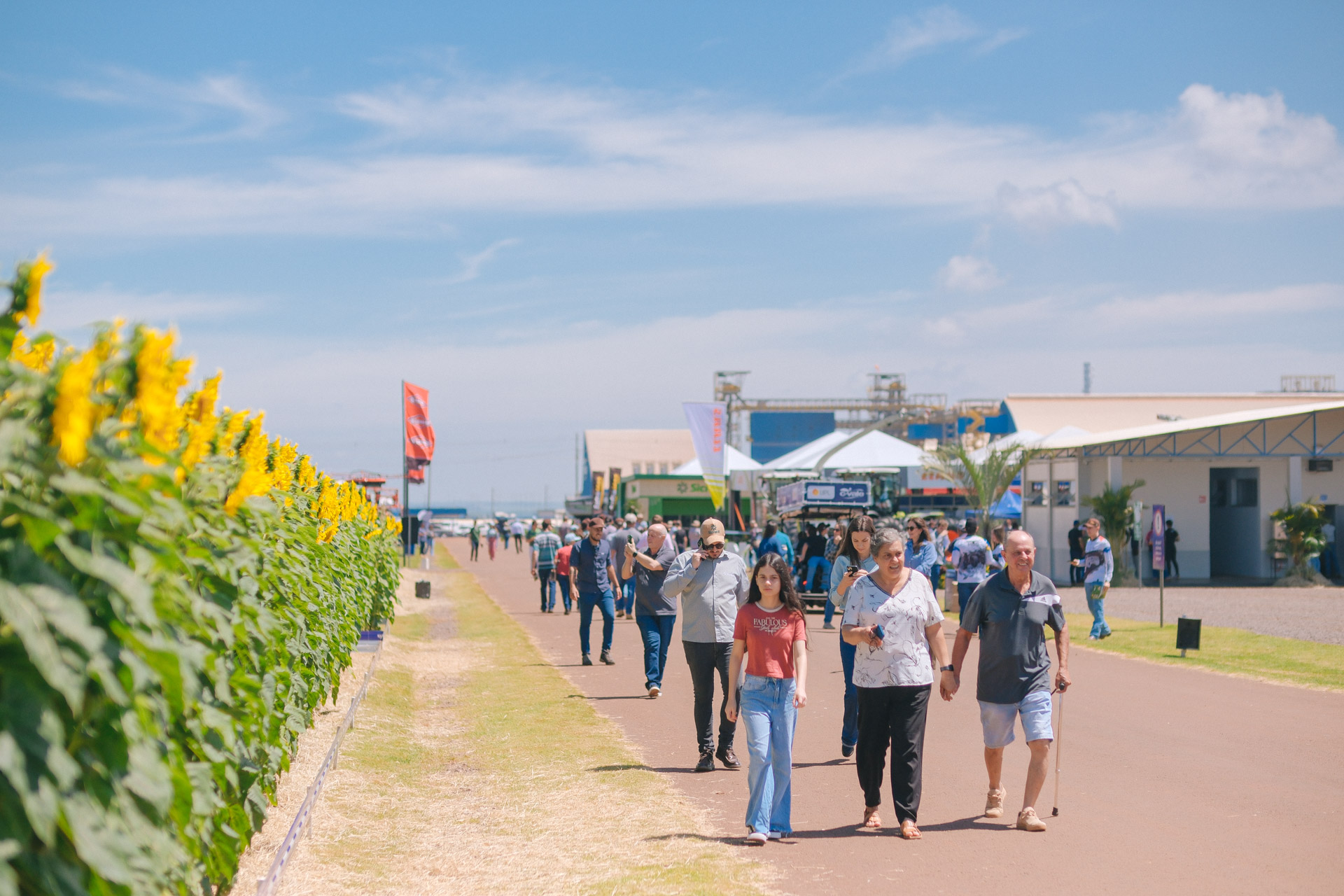 C.Vale atrai produtores com Black Friday do agro