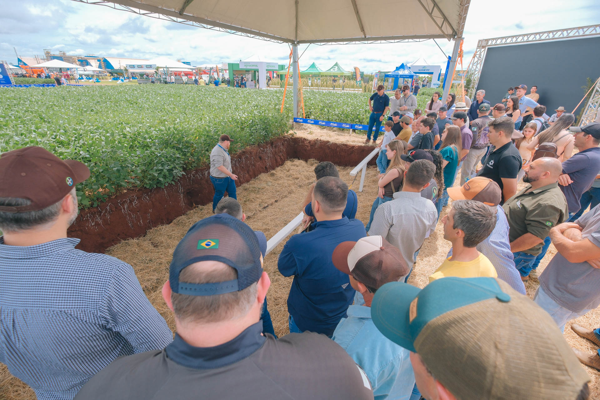 Promo&ccedil;&atilde;o atrai visitantes ao Dia de Campo de primavera da C.Vale