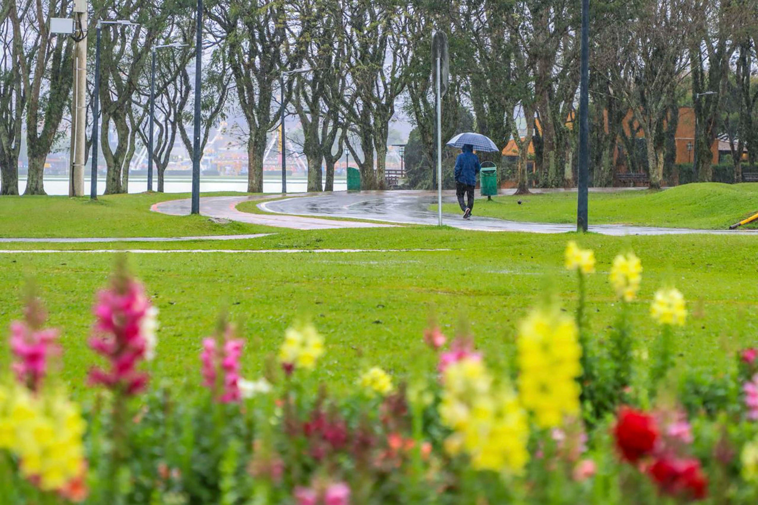 Novembro &eacute; marcado por tr&ecirc;s tornados e chuva acima da m&eacute;dia no Paran&aacute;