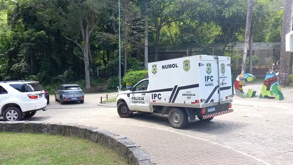 Homem &eacute; morto por leoa ap&oacute;s entrar em jaula em zool&oacute;gico de Jo&atilde;o Pessoa