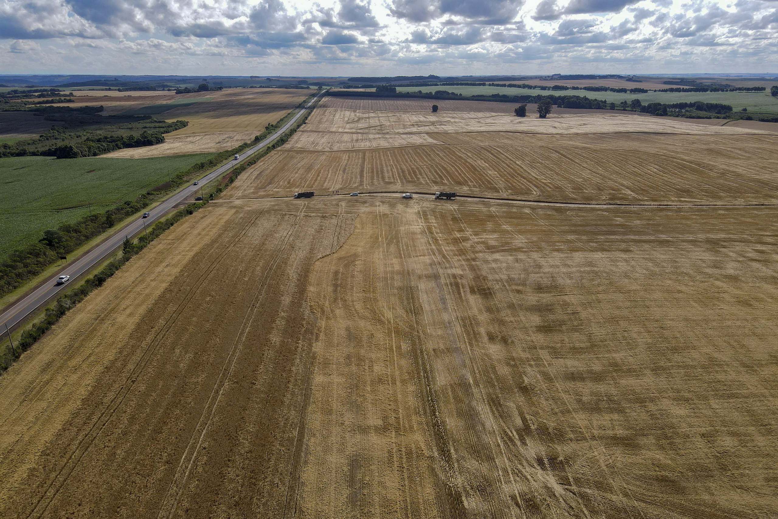 Com 46,8 milh&otilde;es de toneladas, Paran&aacute; teve maior safra de gr&atilde;os de sua hist&oacute;ria em 24/25