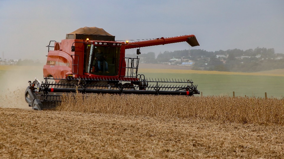 Chuvas do in&iacute;cio de novembro provocam adapta&ccedil;&otilde;es na agricultura paranaense