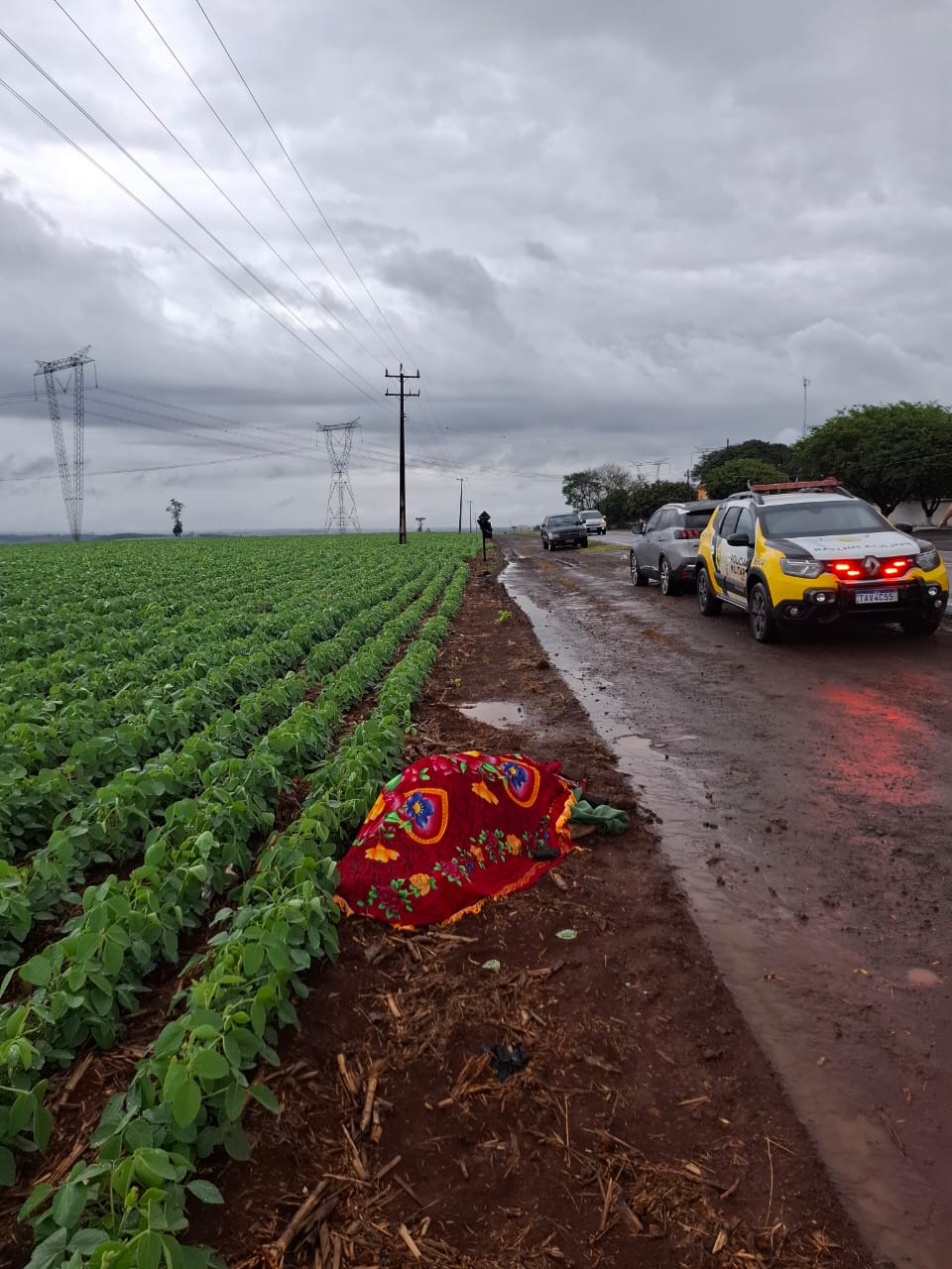 Idoso morre atropelado na PR-585, em S&atilde;o Pedro do Igua&ccedil;u