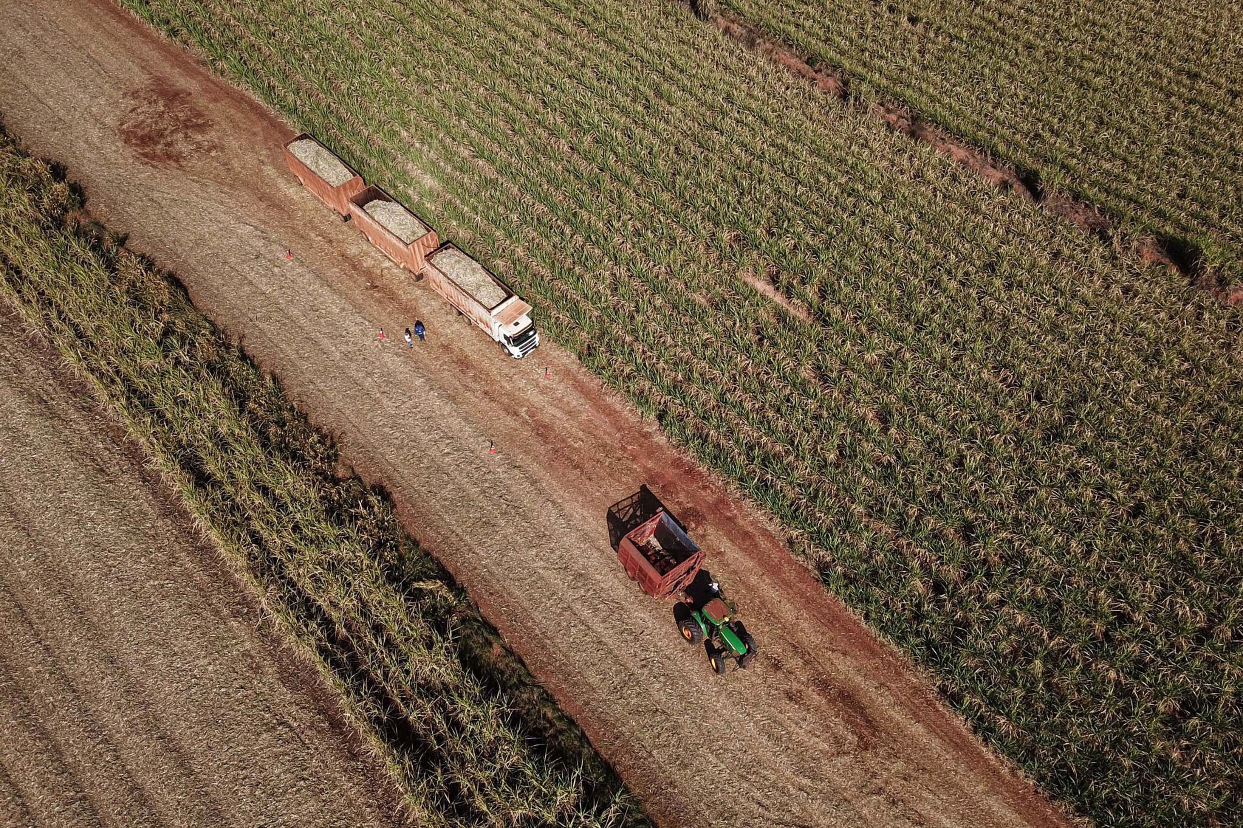 Paran&aacute; cresce tr&ecirc;s vezes acima da m&eacute;dia nacional em agosto, aponta Banco Central